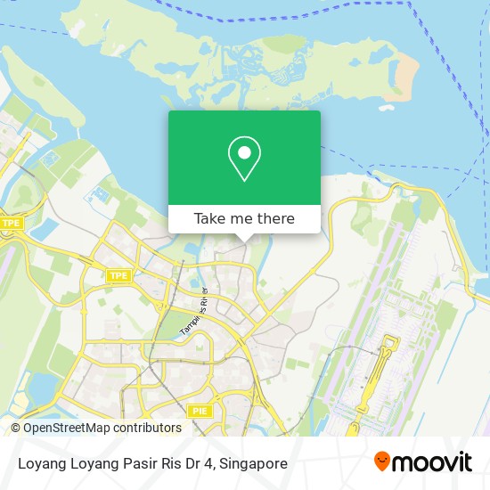 Loyang Loyang Pasir Ris Dr 4地图