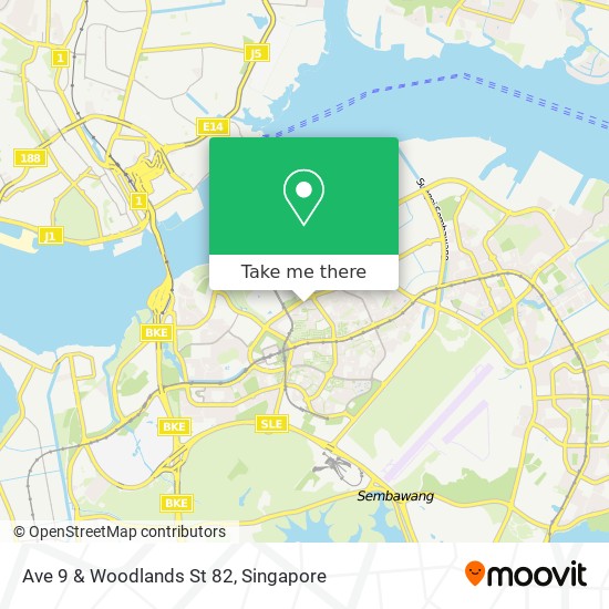Ave 9 & Woodlands St 82 map