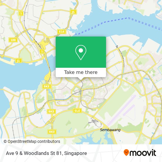 Ave 9 & Woodlands St 81 map