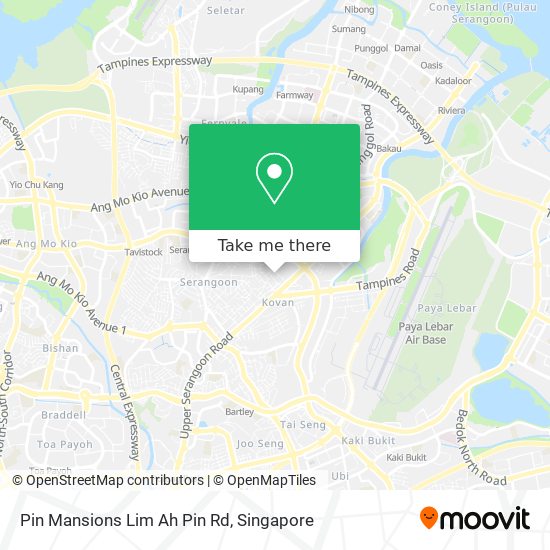 Pin Mansions Lim Ah Pin Rd地图