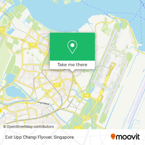 Exit Upp Changi Flyover地图