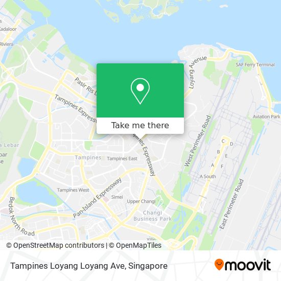 Tampines Loyang Loyang Ave map