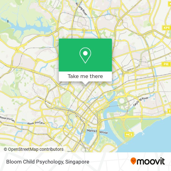 Bloom Child Psychology地图