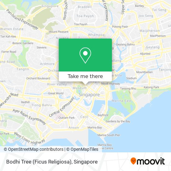 Bodhi Tree (Ficus Religiosa) map