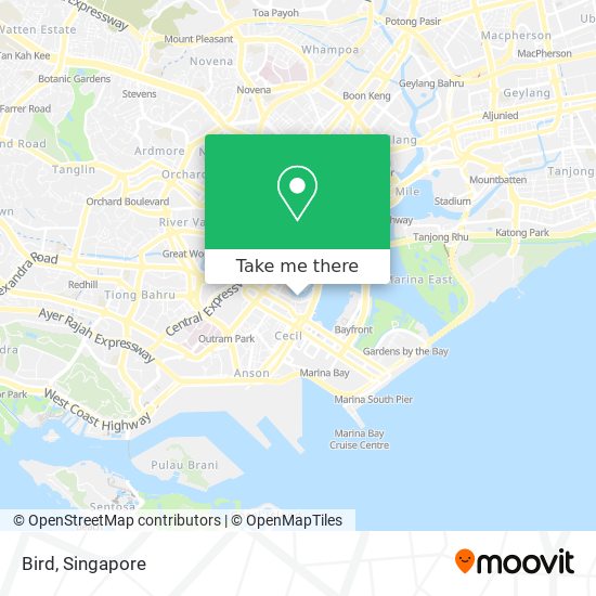 Bird map