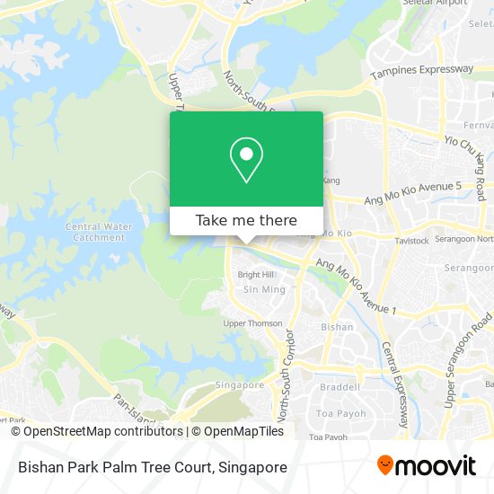 Bishan Park Palm Tree Court map