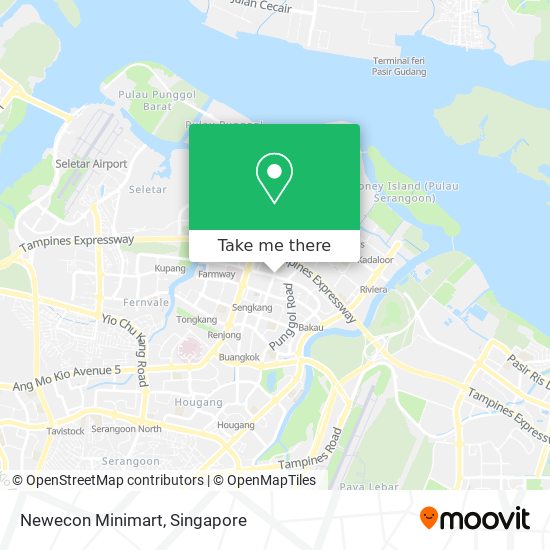 Newecon Minimart map