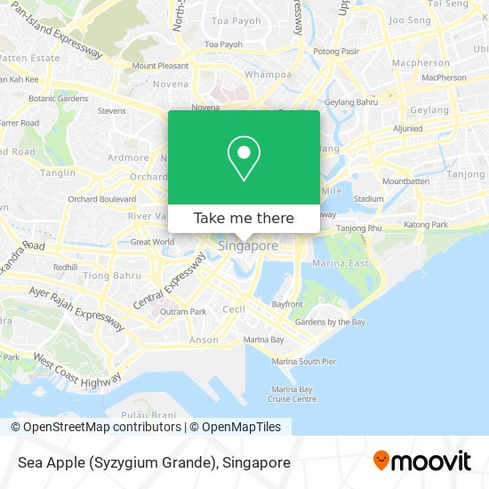 Sea Apple (Syzygium Grande) map
