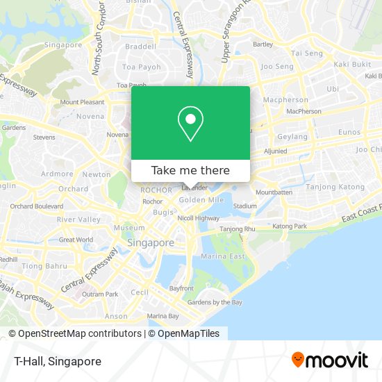 T-Hall map