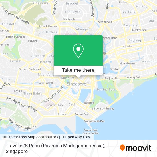 Traveller’S Palm (Ravenala Madagascariensis) map