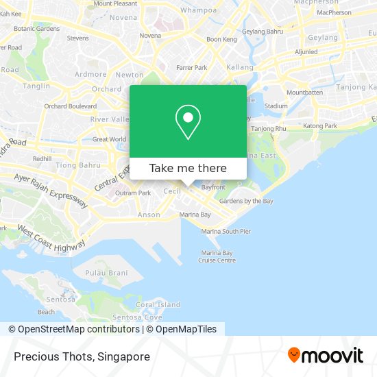 Precious Thots map