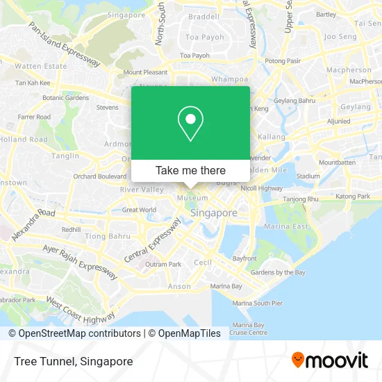 Tree Tunnel map