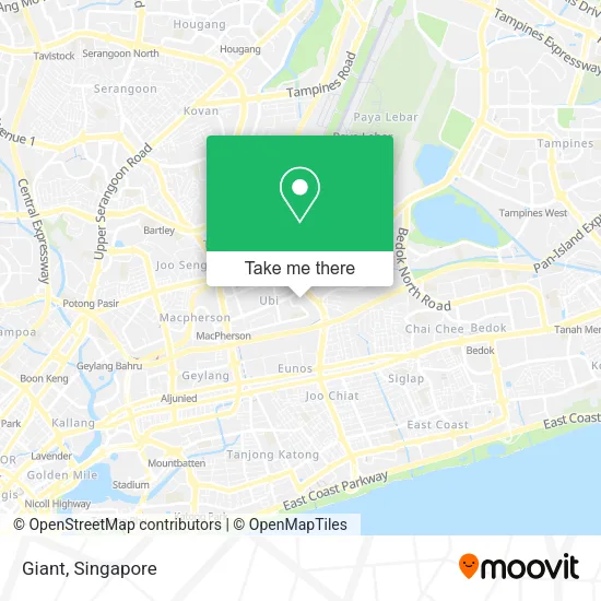 Giant map