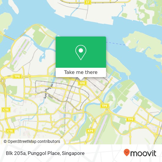 Blk 205a, Punggol Place map