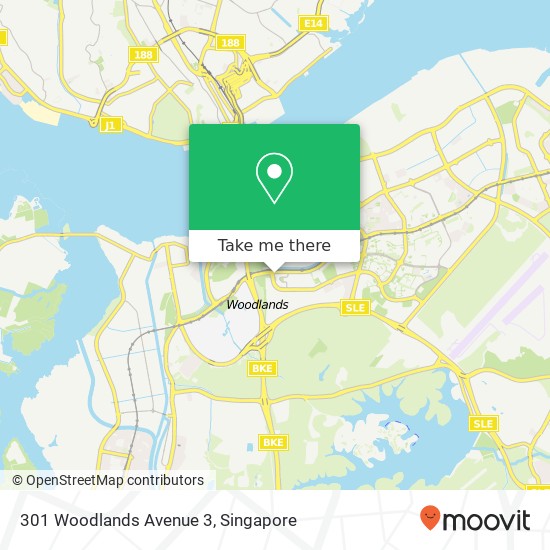 301 Woodlands Avenue 3地图