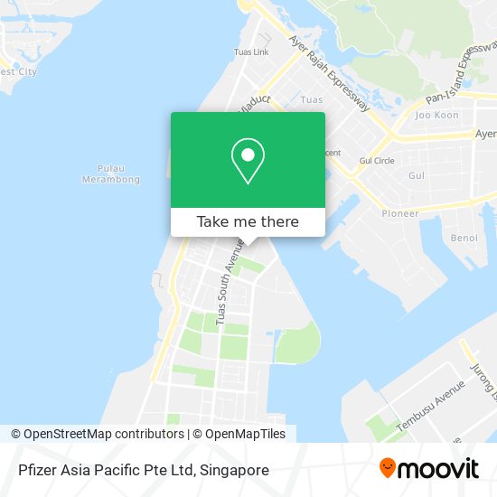 Pfizer Asia Pacific Pte Ltd map