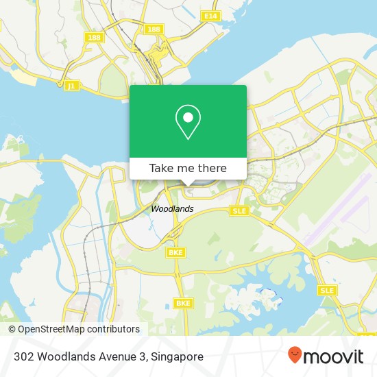 302 Woodlands Avenue 3地图