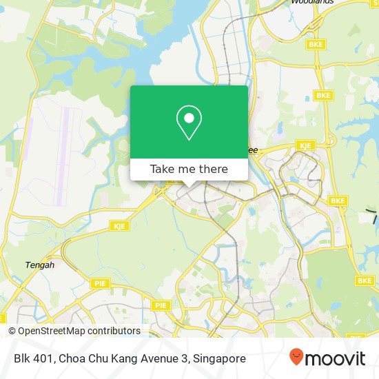 Blk 401, Choa Chu Kang Avenue 3 map