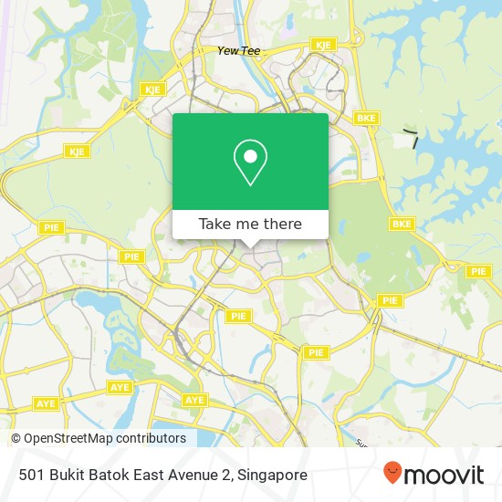 501 Bukit Batok East Avenue 2地图