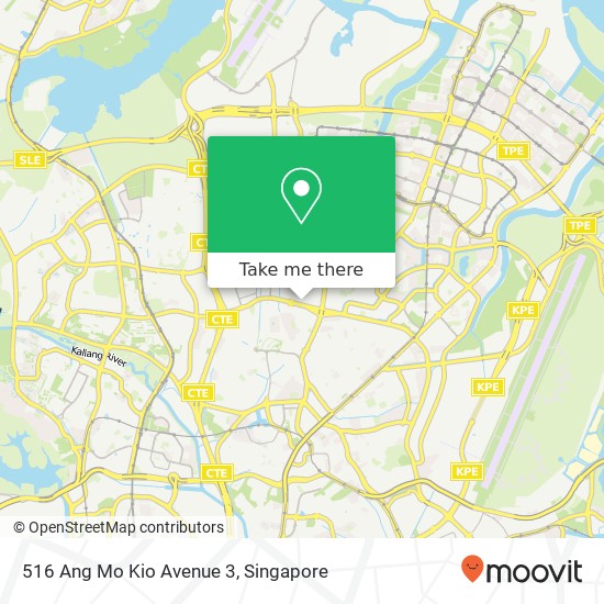 516 Ang Mo Kio Avenue 3地图