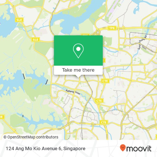 124 Ang Mo Kio Avenue 6 map