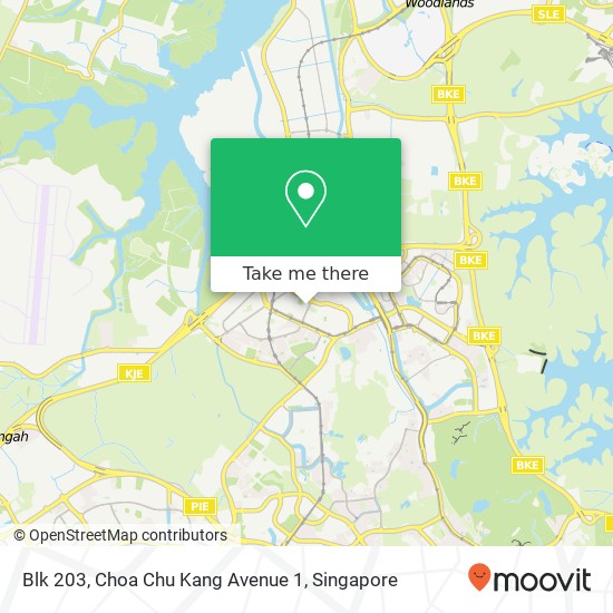 Blk 203, Choa Chu Kang Avenue 1 map