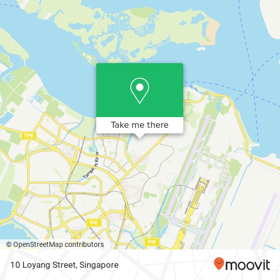 10 Loyang Street地图