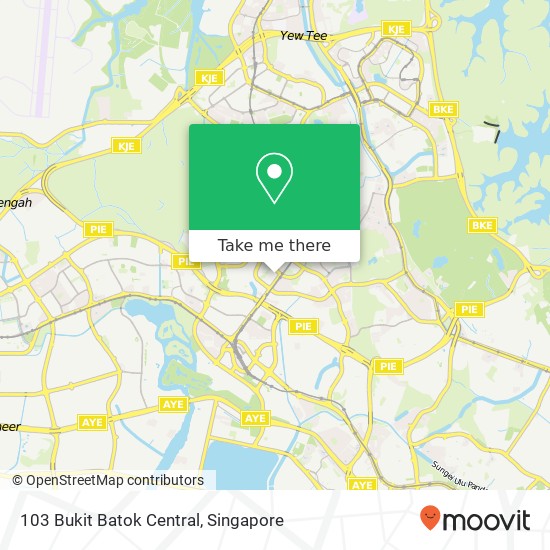 103 Bukit Batok Central地图