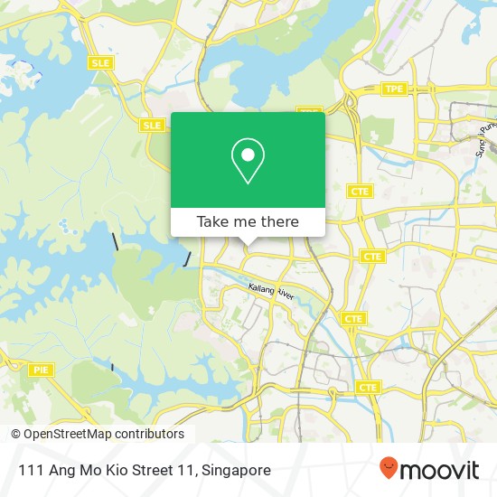 111 Ang Mo Kio Street 11地图