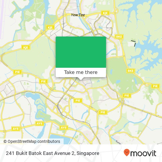 241 Bukit Batok East Avenue 2地图