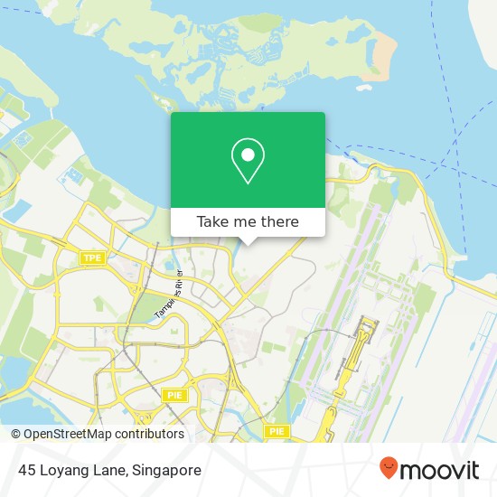 45 Loyang Lane地图