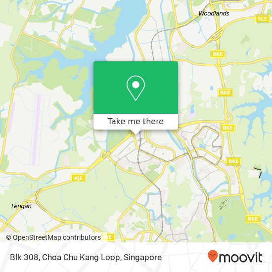 Blk 308, Choa Chu Kang Loop地图