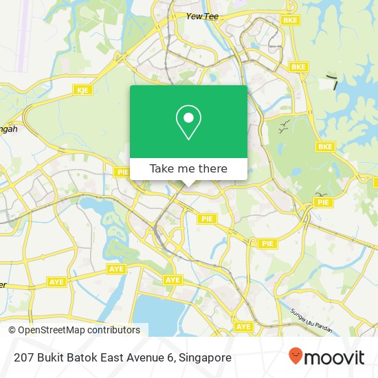 207 Bukit Batok East Avenue 6 map