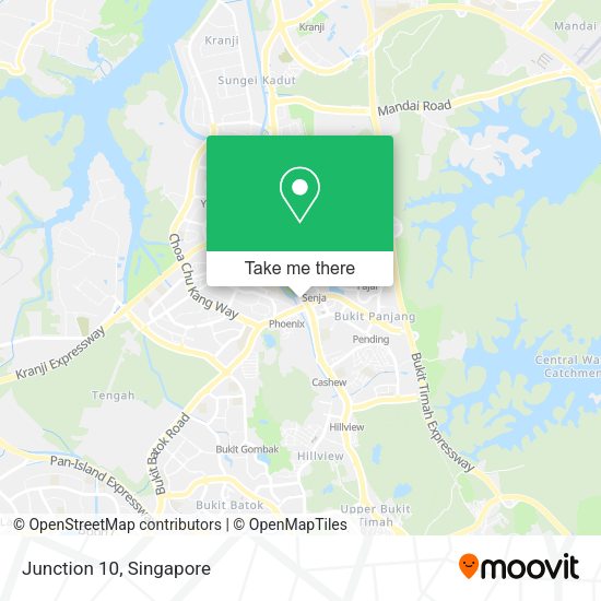 Junction 10 map