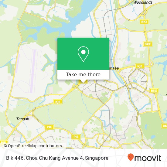 Blk 446, Choa Chu Kang Avenue 4地图