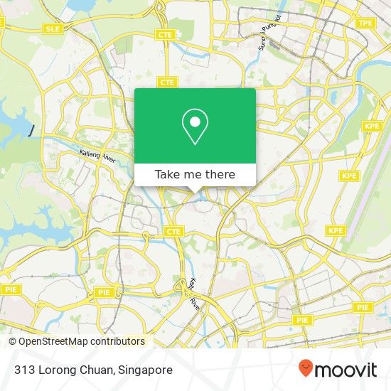 313 Lorong Chuan map