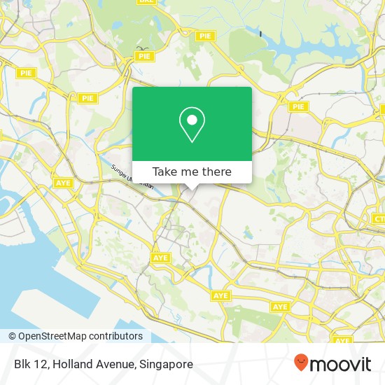 Blk 12, Holland Avenue map