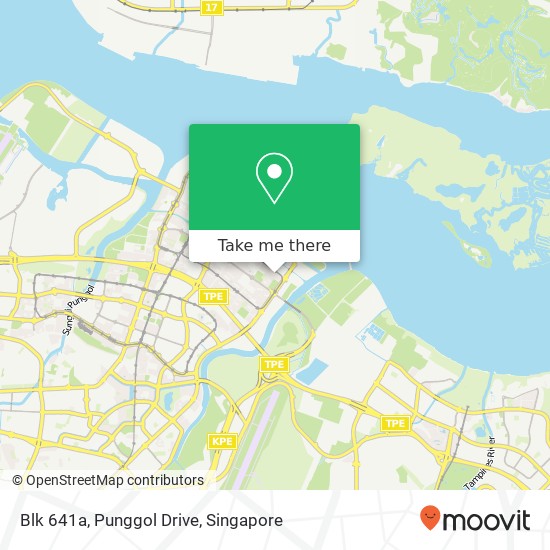 Blk 641a, Punggol Drive map
