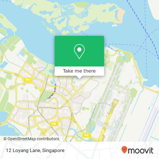 12 Loyang Lane map