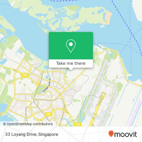 33 Loyang Drive map