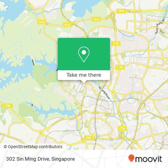 302 Sin Ming Drive map