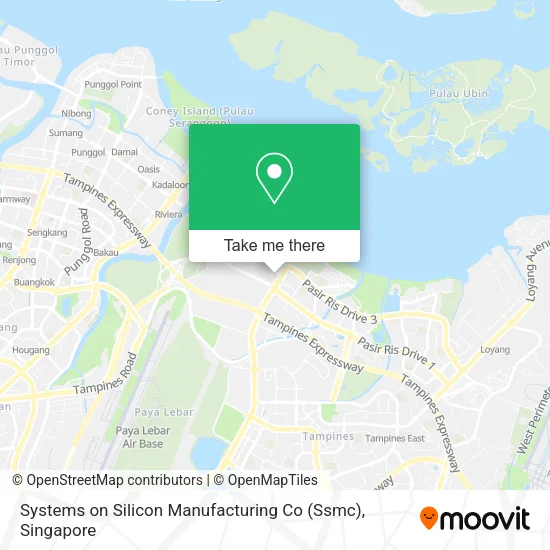 Systems on Silicon Manufacturing Co (Ssmc) map