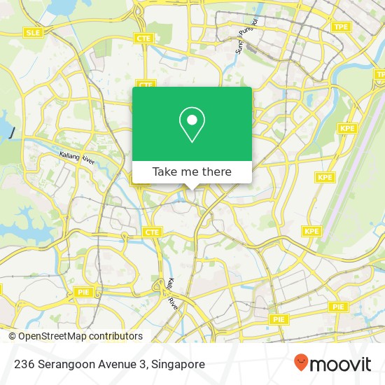 236 Serangoon Avenue 3 map
