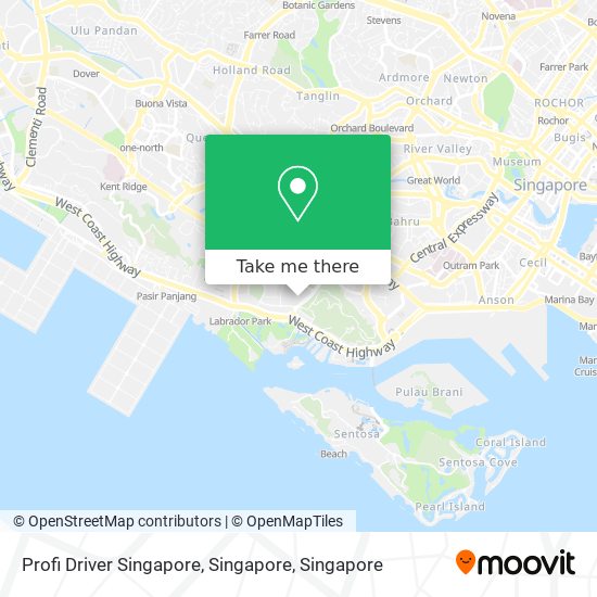 Profi Driver Singapore, Singapore map