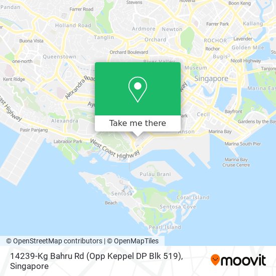 14239-Kg Bahru Rd (Opp Keppel DP Blk 519)地图