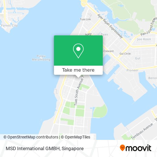 MSD International GMBH map