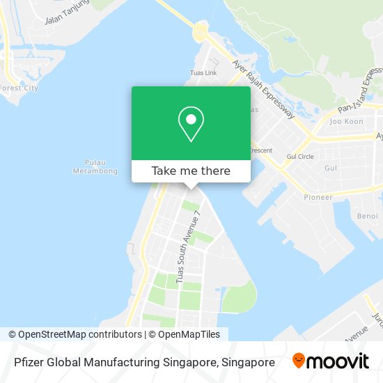 Pfizer Global Manufacturing Singapore map