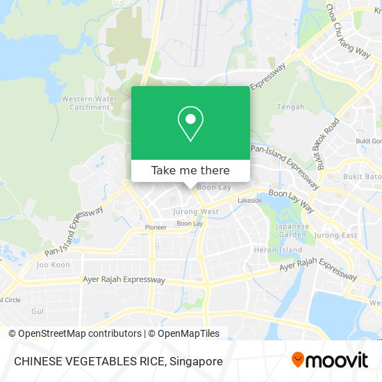 CHINESE VEGETABLES RICE map