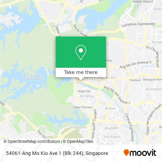 54061-Ang Mo Kio Ave 1 (Blk 244) map