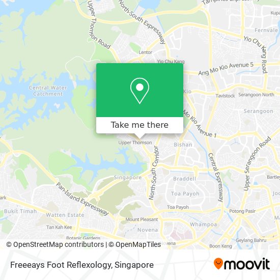 Freeeays Foot Reflexology map